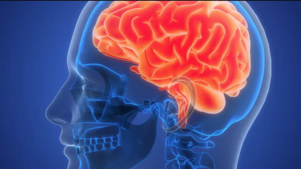 x-ray of human head highlighting the brain